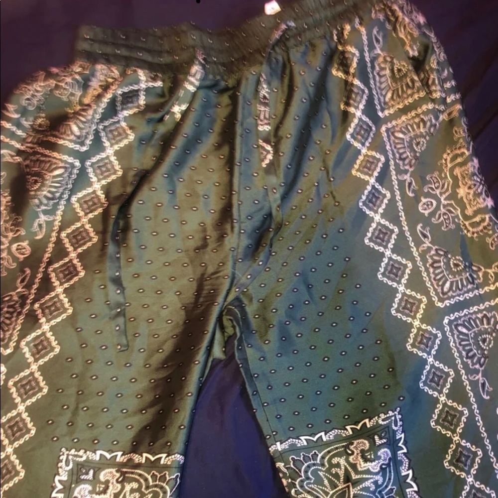 Zara slik pants